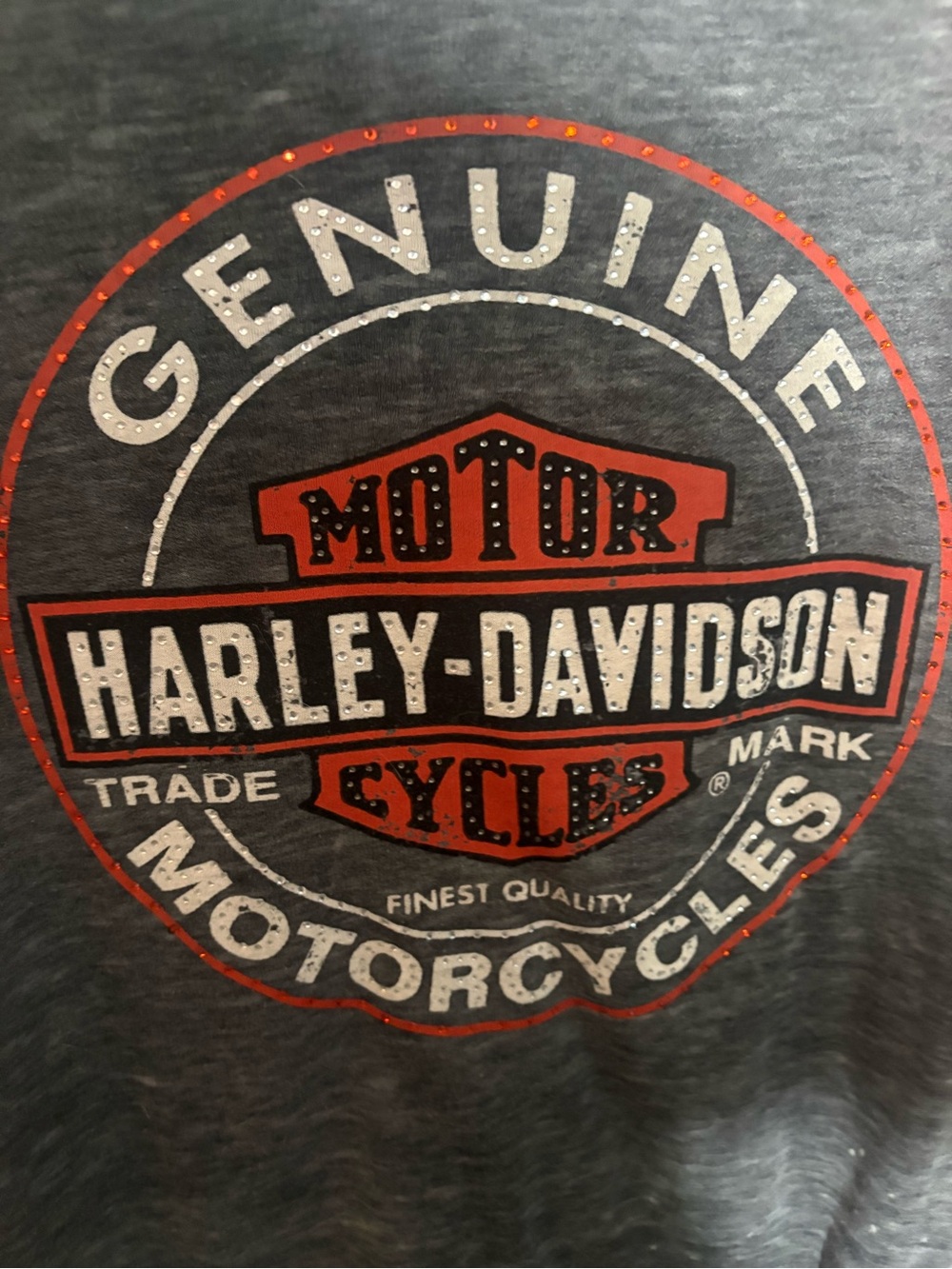 Harley-Davidson Hoodie Gray Graphic Logo